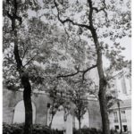 Square G Pierné Paris V-1985 30x40cm