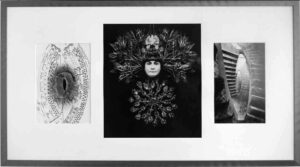 Les contes du Rat après l’orage, Photographies de Jenny Ecoiffier, exposiition