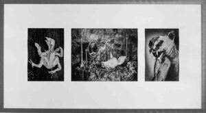 Les contes du Rat après l’orage, Photographies de Jenny Ecoiffier, exposiition