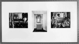 Les contes du Rat après l’orage, Photographies de Jenny Ecoiffier, exposiition