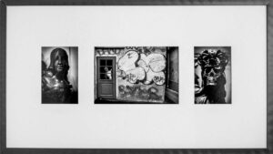 Les contes du Rat après l’orage, Photographies de Jenny Ecoiffier, exposiition