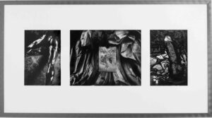 Les contes du Rat après l’orage, Photographies de Jenny Ecoiffier, exposiition