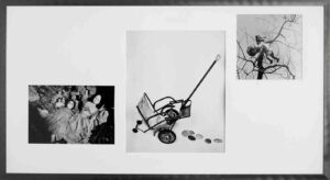 Les contes du Rat après l’orage, Photographies de Jenny Ecoiffier, exposiition