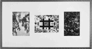 Les contes du Rat après l’orage, Photographies de Jenny Ecoiffier, exposiition