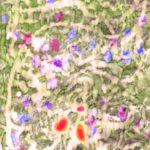 Désordre dans un jardin français ©Jenny Ecoiffier